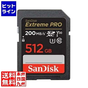 y}\z09/24 AM1:59܂ TfBXN GNXg[ v SDXC UHS-IJ[h 512GB SDSDXXD-512G-JNJIP