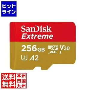 yX[p[SALEz9/11 AM1:59܂ TfBXN GNXg[ microSDXC UHS-IJ[h 256GB SDSQXAV-256G-JN3MD