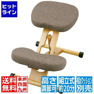 vGgy11/10蓖Im21I1ő100%|CgobNz@ v|[V`FA CH-88W uE {쏊 | `FA CX ֎q  qǂl܂ p w ⏕  w