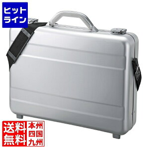 y}\z10/09 AM1:59܂ TTvC PCA~P[X BAG-AL4N2