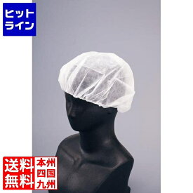 ヘアーネット キャッピー T-F2A 100入 0257910