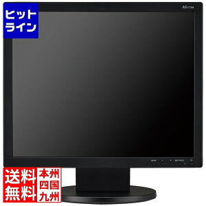 NEC k5Nۏ؁l17^tfBXvC() LCD-AS173M-BK