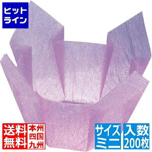 yX[p[SALEz12/11 AM1:59܂ }R[  OP ~j(200) 66387 _ Ɩp QTV3702