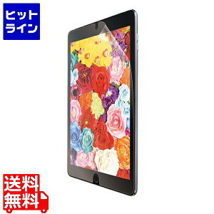 �G���R�� iPad 10.2 2019�N���f��/�ی�t�B����/������/�h�w��/���˖h�~ TB-A19RFLFAHD