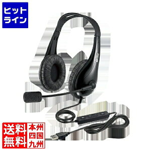 �o�b�t�@���[ �����w�b�h�o���h���w�b�h�Z�b�g USB�ڑ� �u���b�N BSHSUH100BK