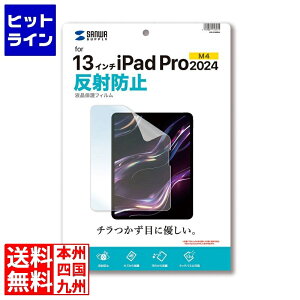 �T�����T�v���C Apple iPad Pro 13�C���` M4�p�t���ی씽�˖h�~�t�B���� LCD-IPAD244