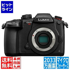 パナソニック デジタル一眼カメラ LUMIX GH5S ボディ (ブラック) DC-GH5S-K