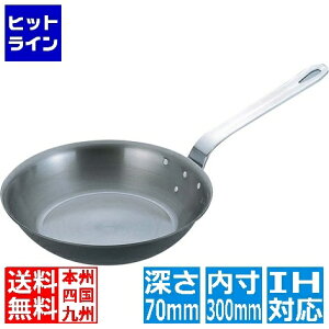 �e�C�P�C�W�C TKG���S�A�C�A���u���[ �t���C�p�� FC-30 30cm �� IH�Ή� IH (100V/200V)�ƃK�X�ΑΉ� AHLV207