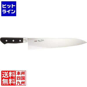 ] EBM R XyVECmbNX  30cm 3165500 5-0248-0501