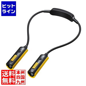 vGgy11/10蓖Im21I1ő100%|CgobNz@ TTvC LEDlbNCg(USB[d) LED-NECK1
