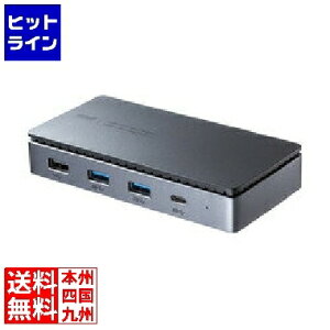 vGgy11/25 24Ԍ蓖Im21I1ő100%|CgobNz@ TTvC USB Type-ChbLOXe[V(HDMI/VGAE2ʏo͑Ή) USB-CVDK19