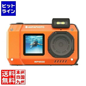 �A�O�t�@�t�H�g WP9500 �I�����W �h���f�W�^���J����