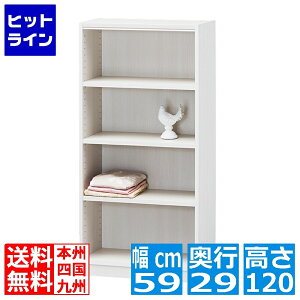 yBLACK FRIDAYz11/27 AM1:59܂ Y t[bN I[vbN{I VFt 59cm 120cm TNL-1259 ^iI