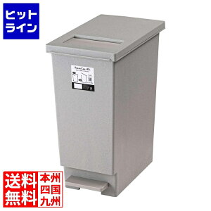 �v�G���g���y12/20 24���Ԍ��蓖�I�m��2����1�I1���ő�100%�|�C���g�o�b�N�z�@ ���J �g���b�V���J�� 45L LFS-861GY