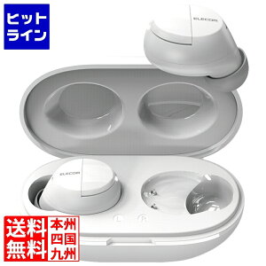 vGgy11/10蓖Im21I1ő100%|CgobNz@ GR CXCz Bluetooth  AACΉ Type]C[d Ji^ yAO zCg LBT-TWS12WH