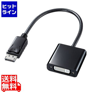 TTvC DisplayPort-DVIϊA_v^ AD-DPDV04