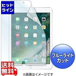 �y���������}���\���z5/16 AM1:59�܂� �T�����T�v���C Apple9.7�C���`iPad2017�p�u���[���C�g�J�b�g�t���ی�w��h�~����t�B���� LCD-IPAD8BC