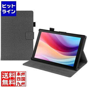 �A�C�� aiwa�^�u���b�gPC�pPU�P�[�X F�^�C�v(10.1�C���`�p) JA4-CAS0006(10)