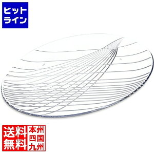 vGgy12/10 24Ԍ蓖Im21I1ő100%|CgobNz@ J[C tFXeBo Ehg[ 6416 PTL39416