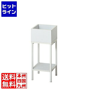 vGgy11/25 24Ԍ蓖Im21I1ő100%|CgobNz@ NVI v^[X^hIt p A ϗtA v^[bNVv I NVI