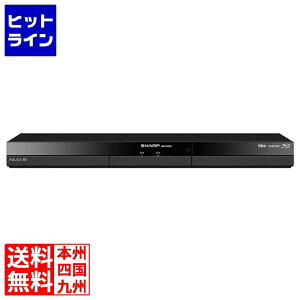 �V���[�v �u���[���C�f�B�X�N���R�[�_�[ �_�u���`���[�i�[�^�C�v 1TB�^�C�v 2B-C10GW1