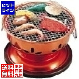 【お買い物マラソン】08/11 AM1:59まで 池永鉄工 割烹 炭火亭(アルミ製) 業務用 QSM01