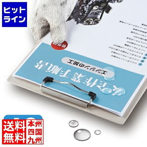 vGgy11/14 10`11/16蓖Im21I1ő100%|CgobNz@ TTvC J[[U[p ϐE A3TCY LBP-WPF15MDPN-A3