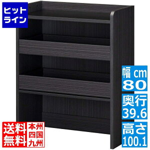 ނ gC`FXg Y [ I bN o ދ 80cm s40cm 100cm yXJ[W ubN  ؖڕ PSR-1080HBK