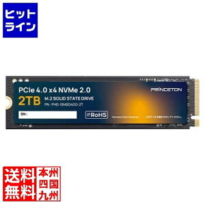 �y���������}���\���z7/26 AM1:59�܂� �v�����X�g�� M.2 PCIe 4.0 x4 NVMe 2.0 �Ή� �����^SSD (2TB) PHD-ISM2G4DG-2T