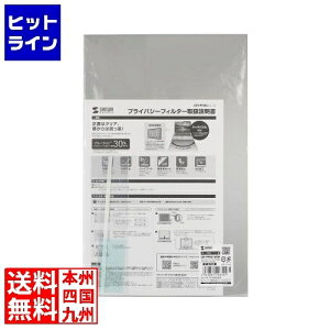 �y�X�[�p�[SALE�z03/11 AM1:59�܂� �T�����T�v���C 16�C���`���C�h(16:10)�Ή��v���C�o�V�[�t�B���^�[ CRT-PFNG160W