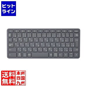 NEC LAVIE Tab T1155 L[{[h PC-AC-AD049C