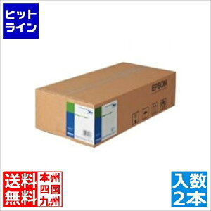 y}\z11/11 AM1:59܂ Gv\ MAXARTp ʎ[qr/841mm×50m(2{)/A0TCY EPPP90A0