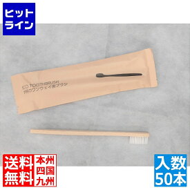 要エントリ【05/20 24時間限定当選確率2分の1！1等最大100%ポイントバック】　 神堂 竹製歯ブラシ(50本入)18329 2213020