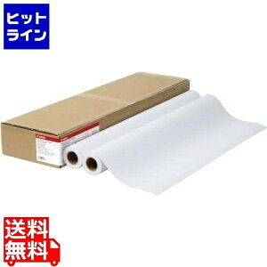 y}\z11/11 AM1:59܂ Lm X^_[hʎ2 64g/m2 24C` 610mm×50m 2{/ LFM-PPS2/24/64 8738B003