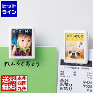 vGgy11/25 24Ԍ蓖Im21I1ő100%|CgobNz@ TTvC CNWFbg}OlbgNbv JP-MAGP7