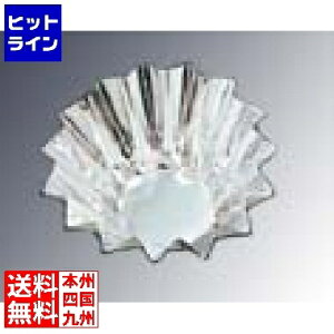 vGgy12/5 24Ԍ蓖Im21I1ő100%|CgobNz@ mA~ A~ zCP[X(XGP[X) (500)