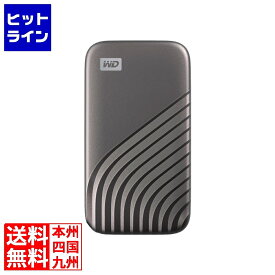 サンディスク My Passport SSD 2020 Hi-Speed 4TB スペースグレー WDBAGF0040BGY-JESN