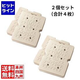 要エントリ【11/14 10時～11/16限定当選確率2分の1！1等最大100%ポイントバック】　 DOD お得なDODセット 保冷剤 フツーノアイスXLサイズ 「移動ができる冷蔵庫。究極の保冷剤セット」ベージュ4個セット(2個入x2)