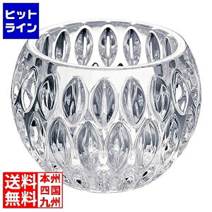 �v�G���g���y12/20 24���Ԍ��蓖�I�m��2����1�I1���ő�100%�|�C���g�o�b�N�z�@ �e�C�P�C�W�C MLV�L�����h���z���_�[ �h���b�v�J�b�g F021 ���a145