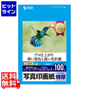 サンワサプライ インクジェット写真印画紙・特厚 JP-EP2NLN