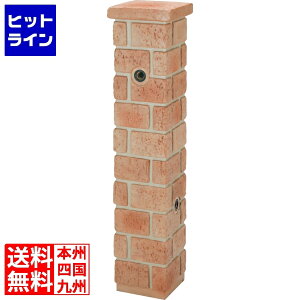 vGgy12/5 24Ԍ蓖Im21I1ő100%|CgobNz@ j\ lILXeBX^h ^CgK^Cv [Y 600202210