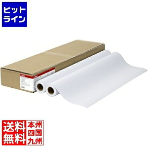 yX[p[SALEz12/11 AM1:59܂ Lm X^_[hʎ2 64g/m2 A0 841mm×50m 2{/ LFM-PPS2/A0/64 8738B004