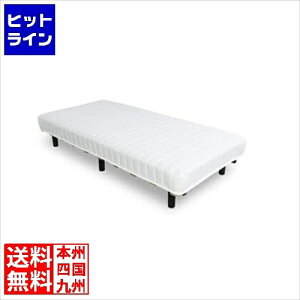 �v�G���g���y12/20 24���Ԍ��蓖�I�m��2����1�I1���ő�100%�|�C���g�o�b�N�z�@ ���J �A�b�V���N���[�� �A�V�c�L�{���l���R�C���}�b�g���X BW-555