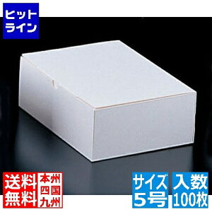 �e�C�P�C�W�C �G�R�m�� �T�[�r�X�{�b�N�X 20-153 5�� 100���� WBT3904
