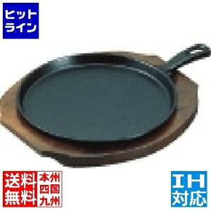 vGgy11/10蓖Im21I1ő100%|CgobNz@ ATq tt@~[p A-118  IHΉ(100V/200V) PHA02003