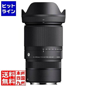 �V�O�} 16-300/3.5-6.7DCOS(C)CARF