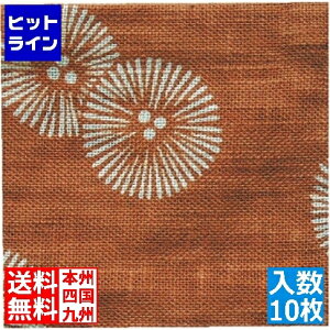 �v�G���g���y12/20 24���Ԍ��蓖�I�m��2����1�I1���ő�100%�|�C���g�o�b�N�z�@ �]���� �a���R�[�X�^�[(10����)B0045 �P�� �Ԓ�