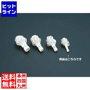 vGgy11/25 24Ԍ蓖Im21I1ő100%|CgobNz@ J_ (KANKUMA) `bv (100)