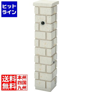 yX[p[SALEz12/11 AM1:59܂ j\ lILXeBX^h ^CgK^Cv ItzCg 600202310