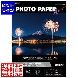 vGgy12/5 24Ԍ蓖Im21I1ő100%|CgobNz@ GR ʐ^pA[gy[p[ }CNX^[  EJK-MLA420